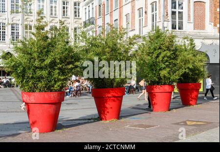 LILLE, FRANCE - July 18, 2013. Giant red flower pots in Lille city centre Stock Photo