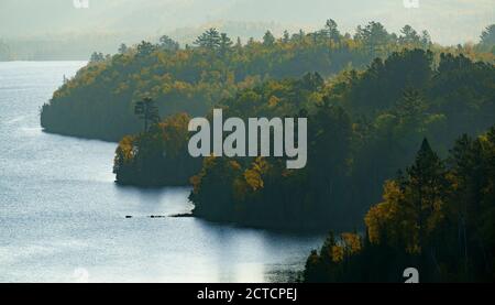 Forest on the shore West Bearskin Lake (also called Bearskin Lake) in northern Minnesota, seen with fall colors. Stock Photo