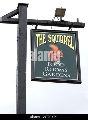 Traditional hanging pub sign at The Squirrel Onn - public house - Hurtmore Road, Hurtmore, Godalming, Surrey, England, UK Stock Photo