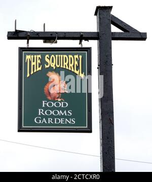 Traditional hanging pub sign at The Squirrel Onn - public house - Hurtmore Road, Hurtmore, Godalming, Surrey, England, UK Stock Photo