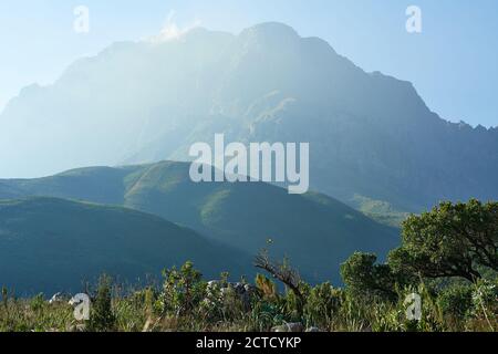 Hottentots Holland  Mountain in the mist from circle route in Jonkershoek Nature reserve Stock Photo