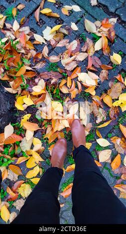 Womens legs in dark shoes standing on colorful fall leaves at autumn in a park Stock Photo