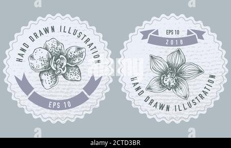 Monochrome labels design with illustration of phalaenopsis Stock Vector