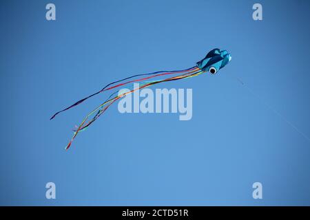 The flying colored octopus in the clear blue sky Stock Photo
