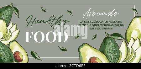 Hand drawn watercolor painting on white background. Vector illustration of avocado fruits sketch elements, eco healthy ingredients vector illustration Stock Vector