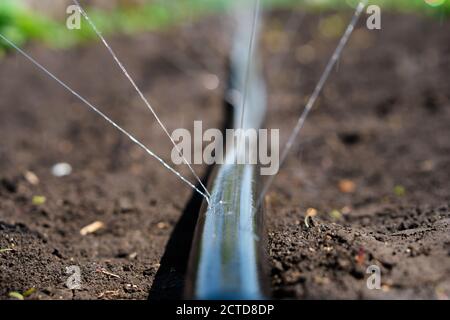 Irrigation system, Irrigation hose releases water jets to plants and beds Stock Photo