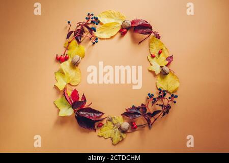 Autumn composition. Round frame made of fall red and yellow leaves, berries and nuts. Flat lay, top view, copy space. Stock Photo
