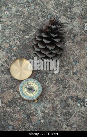 a fir cone and a gold compass with an open lid Stock Photo