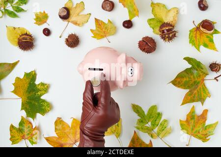 Hello autumn. autumn flat lay with female hand in gloves putting coin into piggy bank, leaves and chestnuts on white background. Stock Photo