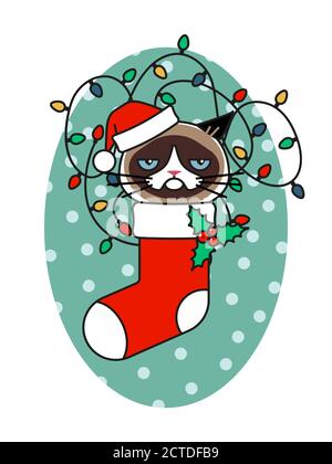 Grumpy cat in christmas hat in christmas sock Stock Vector
