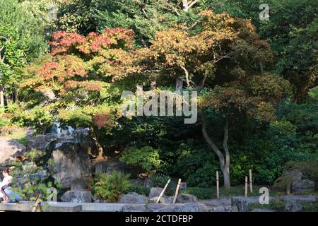Autumn leaves in Holland Park, London. Stock Photo