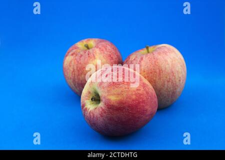 Close-up of three fuji apples on a blue background with copy space and soft light Stock Photo