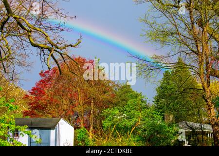A Bright Rainbow In-Between Green Trees on a Clear Blue Sky Stock Photo
