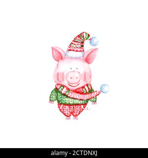 2019 Happy New Year illustration with watercolor pig in knitted sweater, pants, hat and scarf isolated on white background. Chinese New Year of the Pi Stock Vector