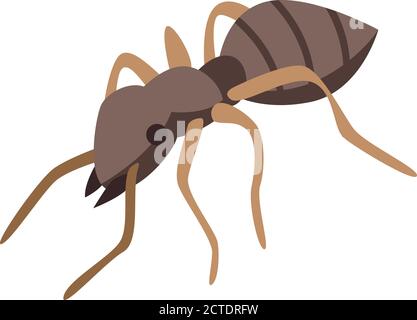Soldier ant icon, isometric style Stock Vector