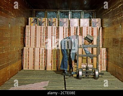 Loading oranges into a refrigerator car at a co-op orange packing plant, Redlands, Calif. March 1943 Stock Photo