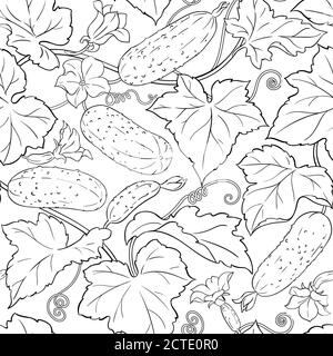 cucumber vector pattern on white background Stock Vector