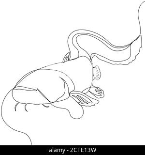 Catfish. One line fish design silhouette. Logo design. Hand drawn minimalism style vector illustration... Stock Vector