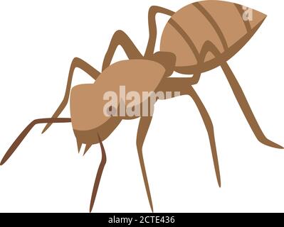 Tropical ant icon, isometric style Stock Vector