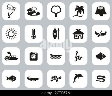 Amazon Rainforest Icons Black & White Flat Design Set Big Stock Vector