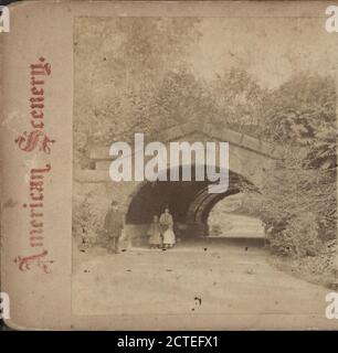 East Wood Arch, by Chase, W. M. (William M.), ca. 1818-1901 Stock Photo ...