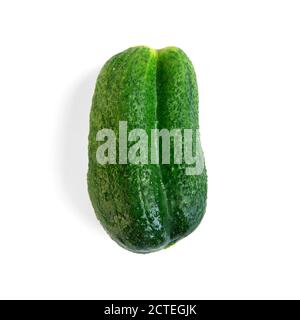 Ugly cucumbers isolated on a white background.  Food waste from supermarket. Trendy vegetables concept. GMO and organic plants. Malformations during f Stock Photo