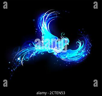 Flying, light bird from blue flame with stars on black background. Phoenix. Stock Vector