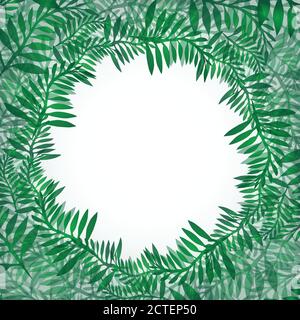 Postcard from green branches. Frame of fern for invitations, greeting cards, banners and your design Stock Vector