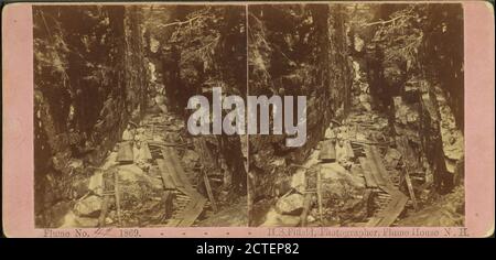 Visitors at the Flume, 1869., Fifield, H. S., Canyons, New Hampshire, Franconia Notch State Park (N.H Stock Photo