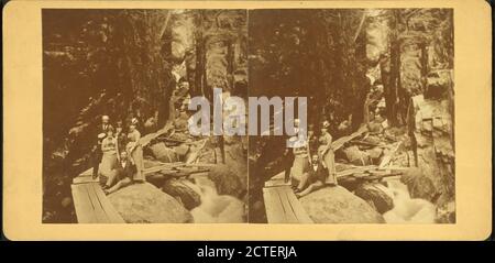 Visitors at the Flume, 1875., Fifield, H. S., Canyons, New Hampshire, Franconia Notch State Park (N.H Stock Photo