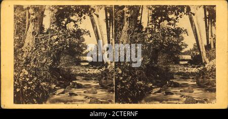 Sinking Run – near Tyrone City, Pennsylvania., E. & H.T. Anthony (Firm), Pennsylvania Railroad, Pennsylvania Stock Photo