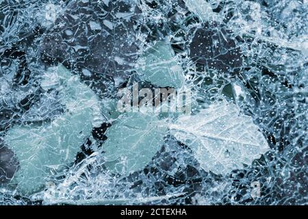 Frozen leaves are under thin ice layer, winter season natural background photo Stock Photo