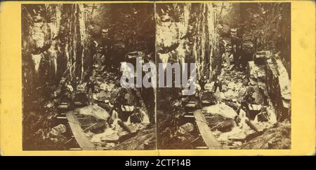 Visitors at the Flume, 1869., Fifield, H. S., Canyons, New Hampshire, Franconia Notch State Park (N.H Stock Photo