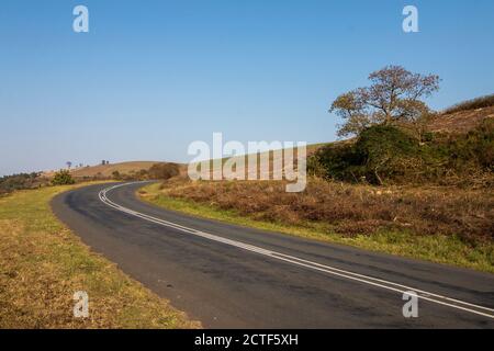 Asphalt rural road running through green vegetation in south africa Stock Photo