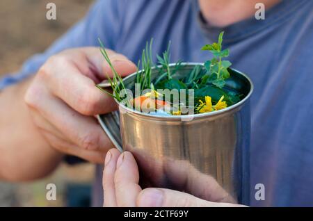 A man drinks herbal tea from a metal mug in the forest. Herbal tea from rose hips and various herbs in a stainless steel cup. Hiking tourism concept. Stock Photo