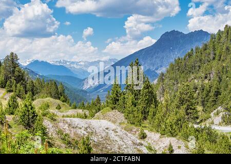 Road to Ofenpass, Fuorn pass in Val Mustair valley of canton Grisons, Graubunden, Switzerland. Stock Photo
