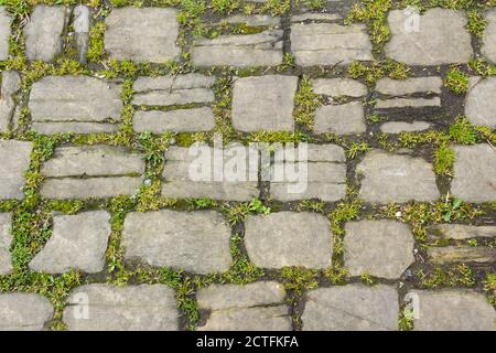 Full frame overhead of old worn cobblestone setts with a variety of vegetation growing in the dirt-filled cracks between the stones. Stock Photo