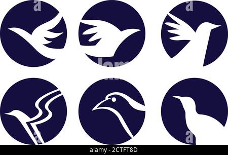 Set of six white bird silhouettes in dark circle. Vector conceptual signs isolated on white background. Stock Vector