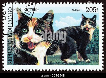 CONGO REPUBLIC - CIRCA 1999: A stamp printed in Congo from the 'Cats' issue shows Manx, circa 1999. Stock Photo