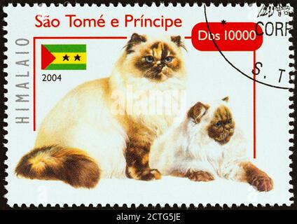 SAO TOME AND PRINCIPE - CIRCA 2004: A stamp printed in Sao Tome and Principe from the 'Cats' issue shows Himalayan, circa 2004. Stock Photo