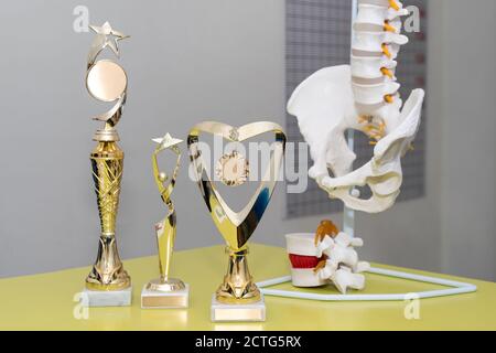 Awards in medical office. Best doctor or clinic. Selective focus, anatomical model of spinal column on background. Artificial human cervical spine Stock Photo