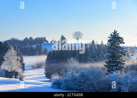 Fresh new snow and a cold winter morning in Allgäu - beautiful impressions from the Bavarian mountains. Stock Photo
