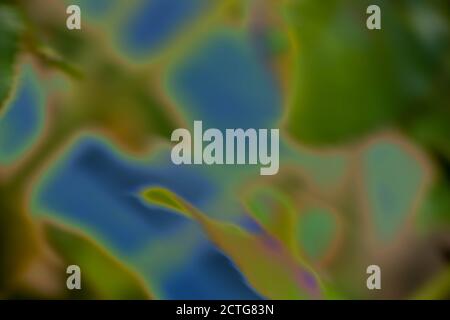 Abstract psychedelic nature background with leaves and blue sky.