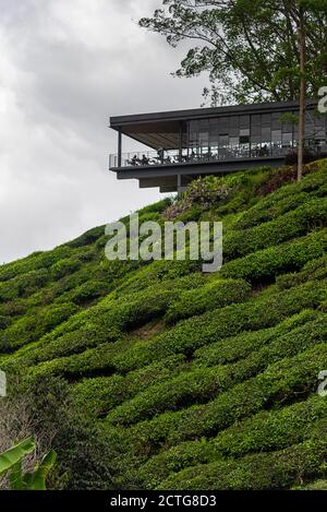 March 28, 2018: Tea center in a tea plantation. Cameron Highlands, Malaysia Stock Photo