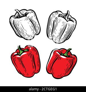 Red pepper. Culinary seasoning, food vector Stock Vector