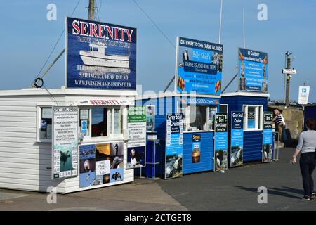 Kiosks selling boat trips to the Farne Island, Seahouses Harbour, Northumberland Stock Photo