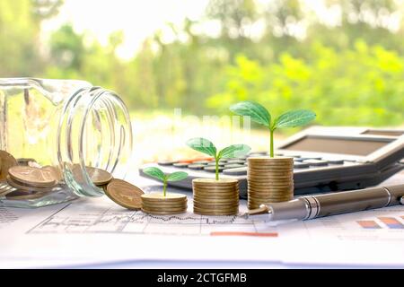 Plant small green trees on coins and calculators, financial accounting concepts and save money. Stock Photo