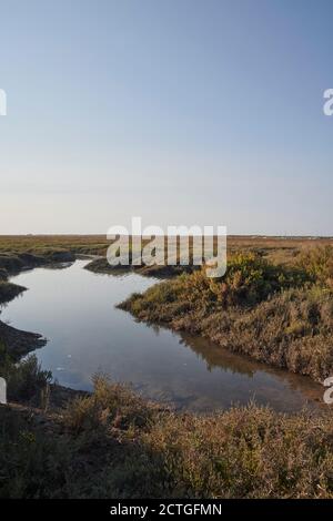 Creeks and marshes in the early evening light, Brancaster Staithe, North Norfolk, UK Stock Photo