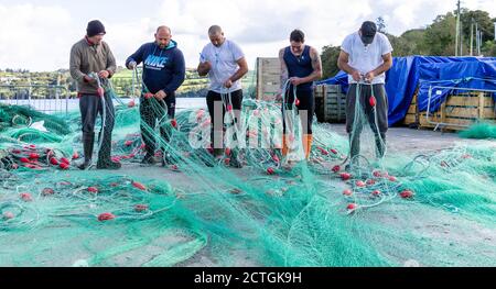 Gill net fishing Mexico Stock Photo - Alamy
