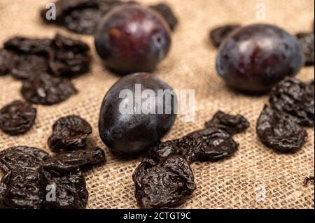Juicy black plums and dried prunes on a homespun cloth with a rough texture. Close up. Autumn harvest Stock Photo